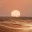 infodba.wordpress.com