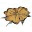 bloom-site.com