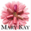 andreasmarykay.wordpress.com