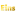 nreins.de