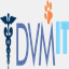 dvmit.com