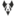 alphawoolfe.com
