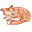 fox-dreams.com