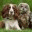 esspy.wordpress.com