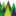 seedtotree.net