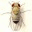 laboratoriointegradogenetica.wordpress.com