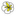 champaproject.com