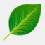 cleansoftproducts.com