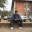 immohit.wordpress.com