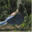 birdoutofwater.com
