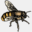 beesneeds.com