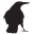 nicorvo.net