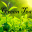greenteahp.tv