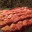 lentwithoutbacon.com