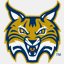 quinnipiacbobcats.com