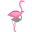 lateinformation-exotics.de