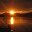disaster117.wordpress.com