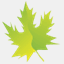 incipe.ca