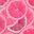 mypinkgrapefruit.com