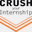 crushyourinternship.com