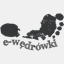e-wedrowki.pl
