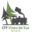 cffviseu.com