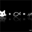 blog.ervin818.net