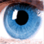 eyesonscience.com