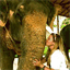 laurabutler.myadventures.org