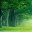 joestreebootcamp.wordpress.com