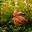 eclecticalchemy.blog