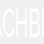 bleachblack.com