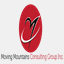 mmconsultinggroup.com