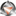 pagolux.de