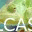 lcaspetsitting.wordpress.com