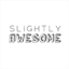 slightlyawesomeblog.com