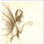 folle-avoine.over-blog.com