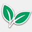 freshexpress.com
