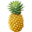ourtropicallife.com