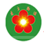 dfmeiyuan.com