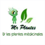 mr-plantes.com