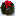 pamsmainewreaths.com