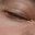 endroadkill.com