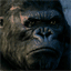 lastkong.com