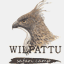 wilpattusafaricamp.com