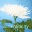 ivblog.wordpress.com