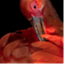 thescarletibis.org