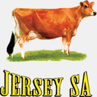 jerseysa.co.za