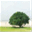 14liu.com