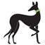 groupqq.com.au